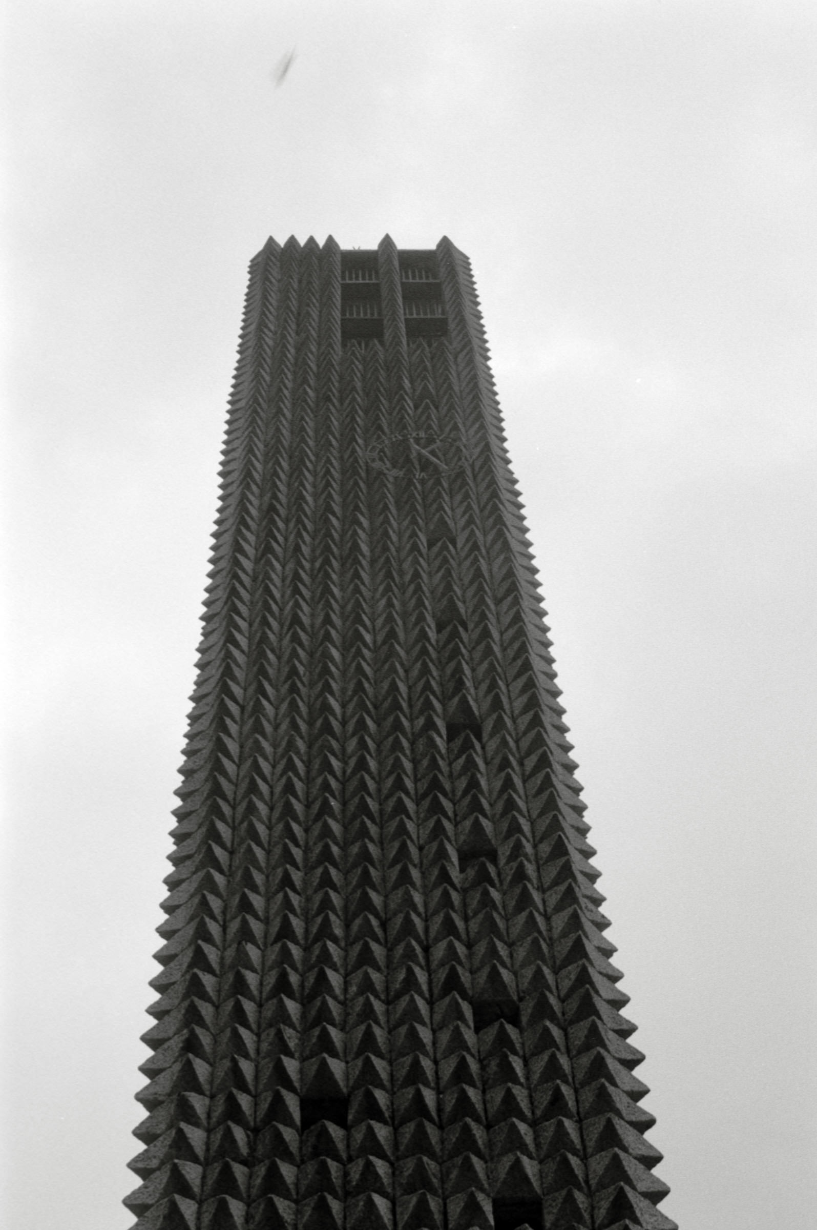 AHP F1995 05 012 sc240827 img01 NLP